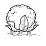 ochu.png